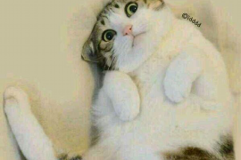 阳信工资清欠服务